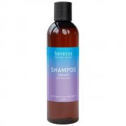 Benecos Shampoo Sensitiv Aloe Vera 250ml
